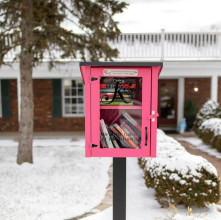 Two Story Shed Unfinished Little Free Library - Image 5