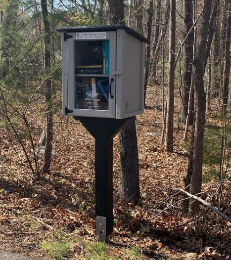 Composite Screw In Library Post and Topper Black - Image 3