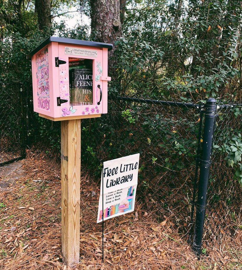 Mini Shed Little Free Library - Image 4