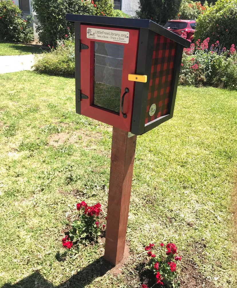 Mini Shed Little Free Library - Image 7