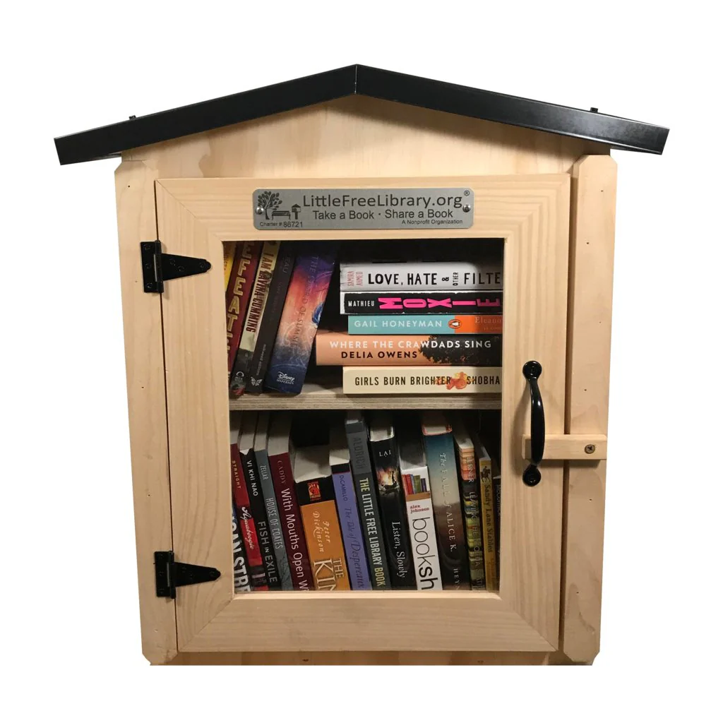 Two Story Gable Unfinished Little Free Library - Image 5