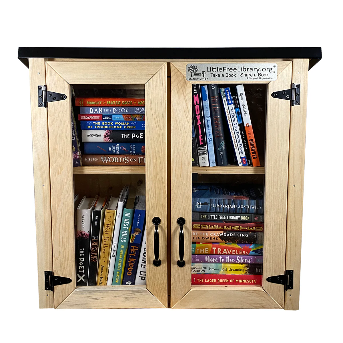 Double Door Shed Unfinished Little Free Library - Image 10