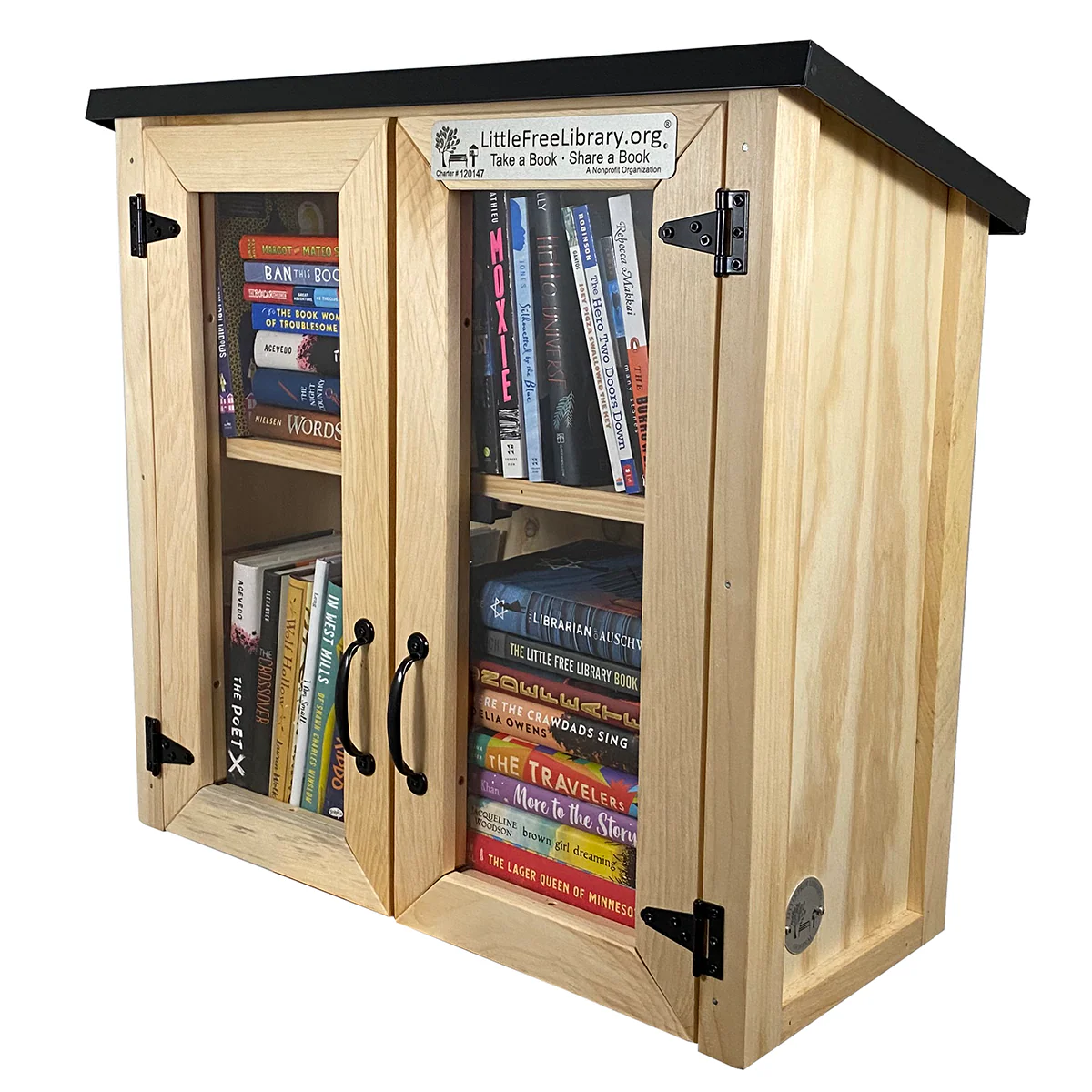 Double Door Shed Unfinished Little Free Library - Image 11