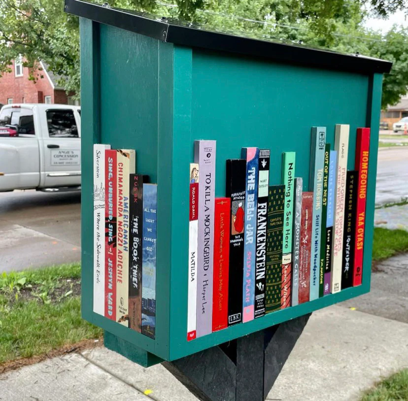 Double Door Shed Unfinished Little Free Library - Image 8