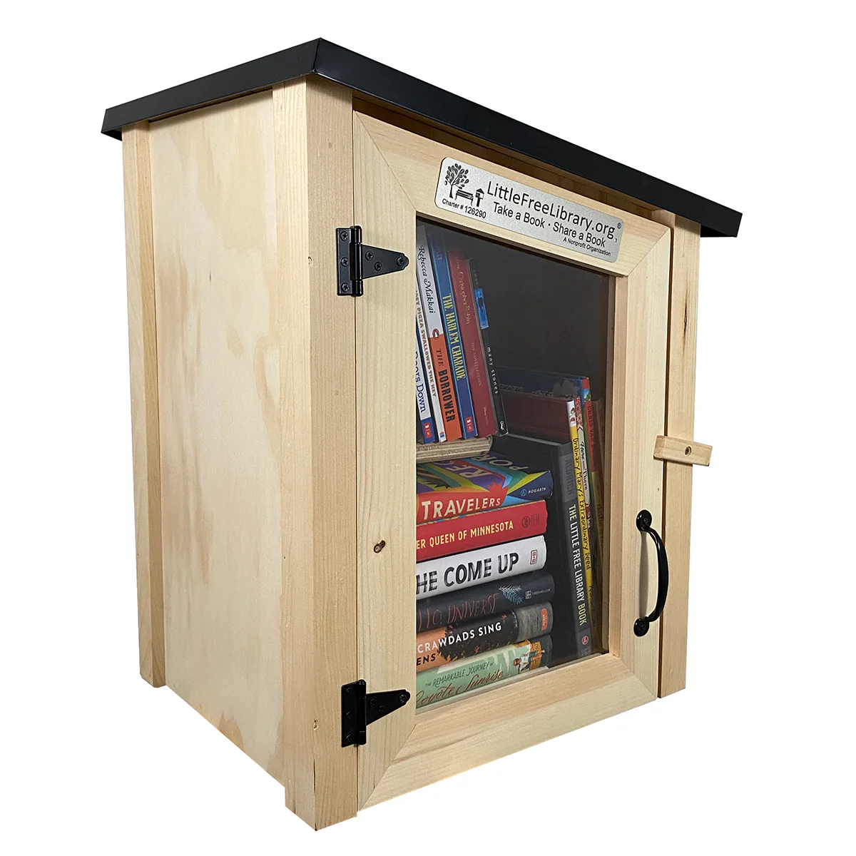 Two Story Modern Unfinished Little Free Library - Image 9